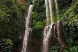 Bali: Sekumpul and Fiji Waterfalls All Inclusive Tour