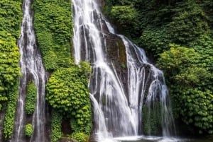Bali: Sekumpul, Banyumala, and Gitgit Waterfalls Tour