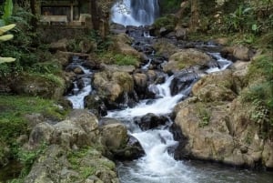 Bali: Sekumpul, Banyumala, and Gitgit Waterfalls Tour