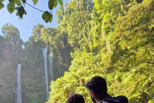 Bali: senderismo a la cascada de Sekumpul con un guía local