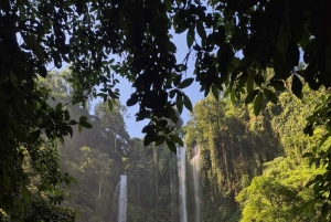 Bali: senderismo a la cascada de Sekumpul con un guía local