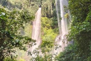 Bali: senderismo a la cascada de Sekumpul con un guía local