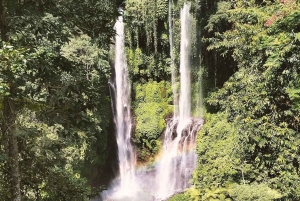 Bali: senderismo a la cascada de Sekumpul con un guía local