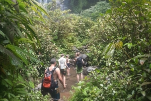 Bali: senderismo a la cascada de Sekumpul con un guía local