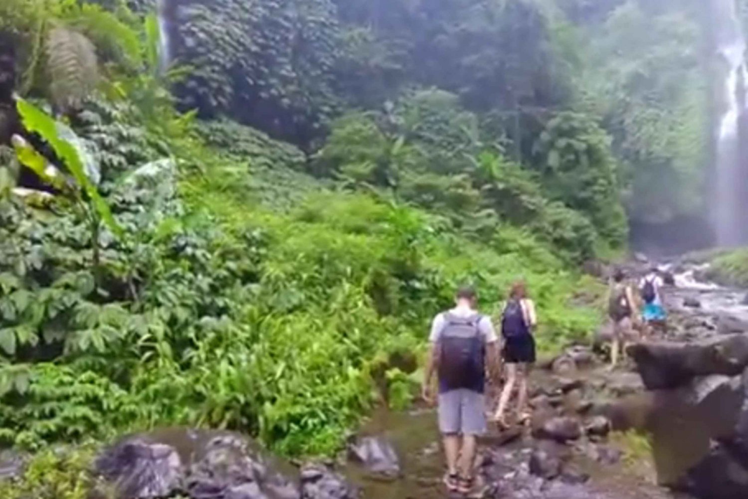 Bali: Sekumpul waterval en Fiji waterval privétour