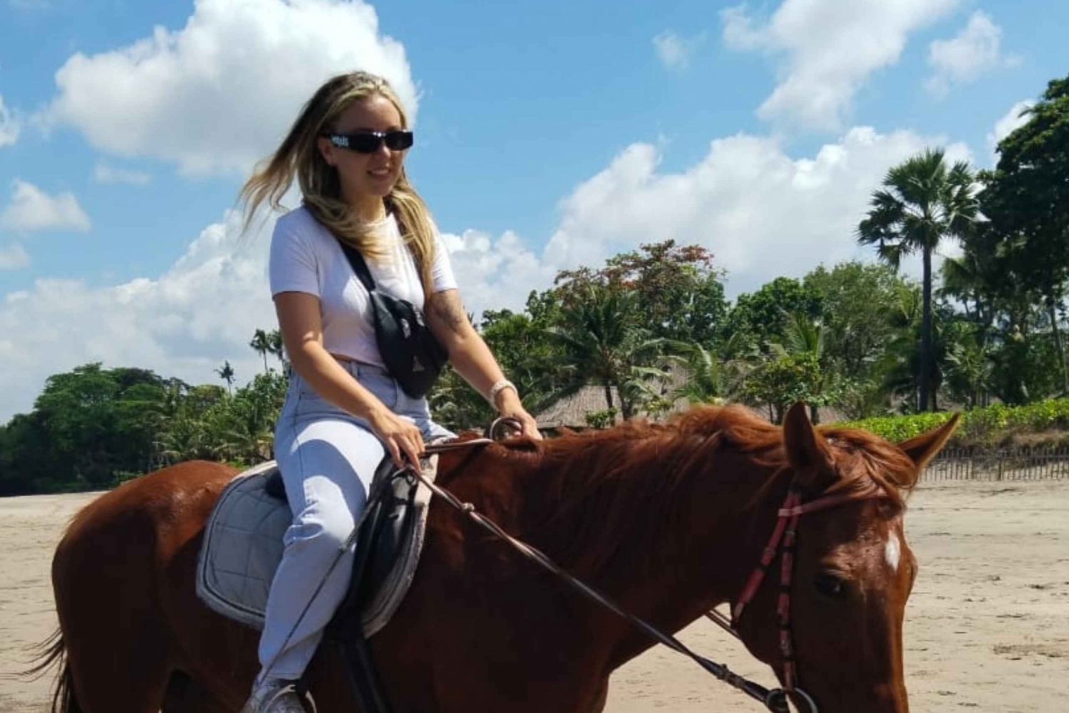 Bali: Seminyak Beach Horse Riding Experience
