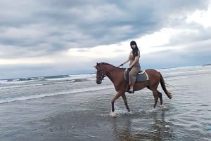 Bali: Seminyak: equitazione e lezioni di surf sulla spiaggia