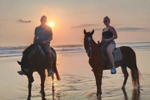 Bali: Passeio a cavalo e aula de surfe na praia de Seminyak