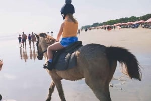 Bali Seminyak Paseos a caballo y clases de surf en la playa