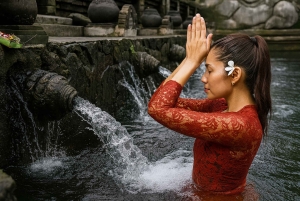 Bali: Serenity Sacred Tirta Empul, Rice Fields & Coffee