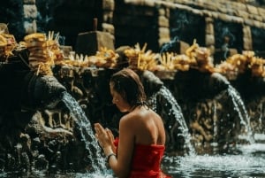 Bali: Serenity Sacred Tirta Empul, Rice Fields & Coffee