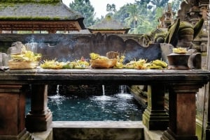 Bali: Serenity Sacred Tirta Empul, Rice Fields & Coffee