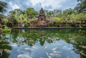Bali: Serenity Sacred Tirta Empul, Rice Fields & Coffee
