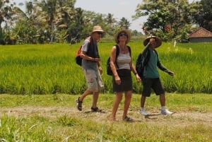 Bali: Serenity Sacred Tirta Empul, Rice Fields & Coffee