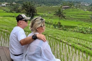 Bali: Shore Excursion for Cruise Passengers from Benoa Port