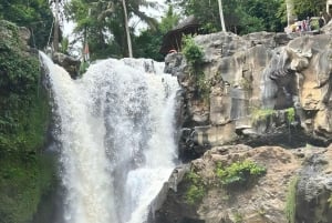 Bali: Shore Excursion for Cruise Passengers from Benoa Port