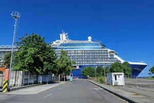 Bali: Shore Excursion for Cruises's passenger -All Inclusive