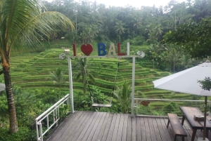 Bali: Shore Excursion for Cruises's passenger -All Inclusive