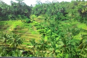 Bali: Shore Excursion for Cruises's passenger -All Inclusive