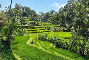 Bali: Shore Excursion for Cruises's passenger -All Inclusive