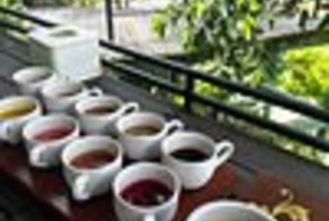 Bali: Shore Excursion for Cruises's passenger -All Inclusive