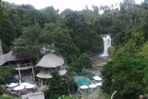 Bali: Shore Excursion for Cruises's passenger -All Inclusive