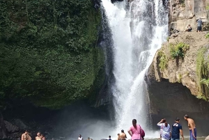 Bali: Shore Excursion for Cruises's passenger -All Inclusive