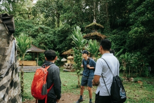 Bali: Shore Excursion from Benoa Port