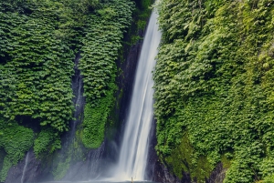 Bali: Shore Excursion from Benoa Port