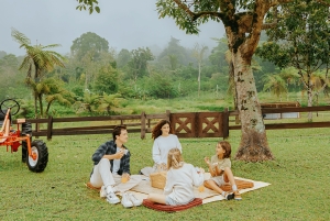 Bali: Shore Excursion from Benoa Port