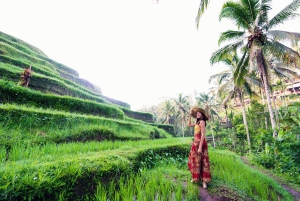 Bali: Shore Excursion from Benoa Port