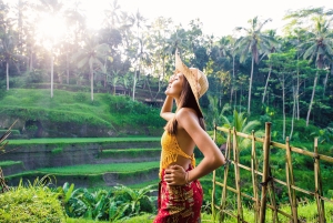 Bali: Shore Excursion from Benoa Port