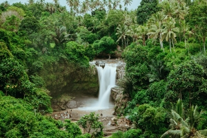 Bali: Shore Excursion from Benoa Port