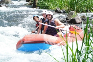 Bali Sidemen-Private Rafting on Telaga Waja River With Lunch