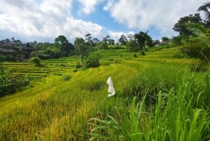 Bali: Sidemen Rice Field Trek and Local Lunch