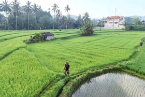 Trekking tra le terrazze di riso di Sidemen e passeggiata nel villaggio locale