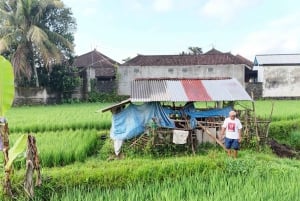 Trekking tra le terrazze di riso di Sidemen e passeggiata nel villaggio locale