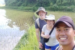 Trekking tra le terrazze di riso di Sidemen e passeggiata nel villaggio locale