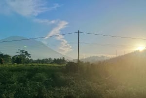 Trekking tra le terrazze di riso di Sidemen e passeggiata nel villaggio locale
