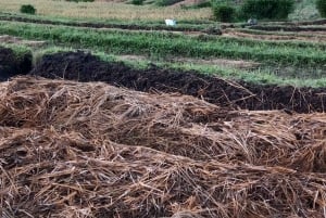 Trekking tra le terrazze di riso di Sidemen e passeggiata nel villaggio locale