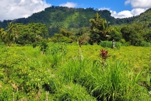Trekking tra le terrazze di riso di Sidemen e passeggiata nel villaggio locale