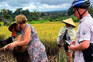 Бали: велотур по долине Сидемен с водопадом Гембленг