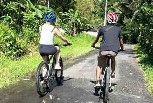 Бали: велотур по долине Сидемен с водопадом Гембленг