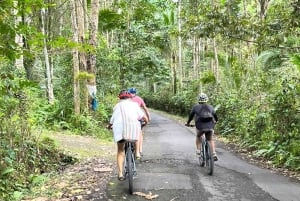 Бали: велотур по долине Сидемен с водопадом Гембленг
