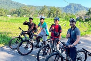 Бали: велотур по долине Сидемен с водопадом Гембленг