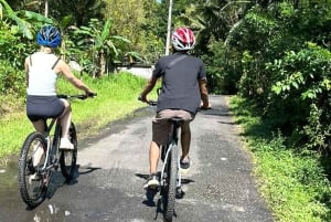 Bali: Sidemen Valley Cycling Tour with Gembleng Waterfall