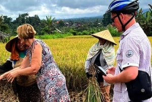 Bali: Sidemen Valley Cycling Tour with Gembleng Waterfall
