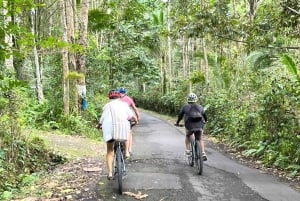 Bali: Sidemen Valley Cycling Tour with Gembleng Waterfall