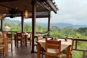 Bali: Sidemen Valley Private Tour with Rafting & Temple