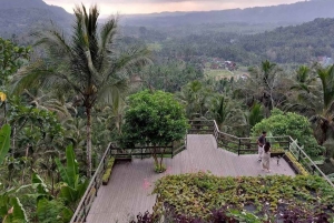 Bali: Sidemen Valley Private Tour with Rafting & Temple